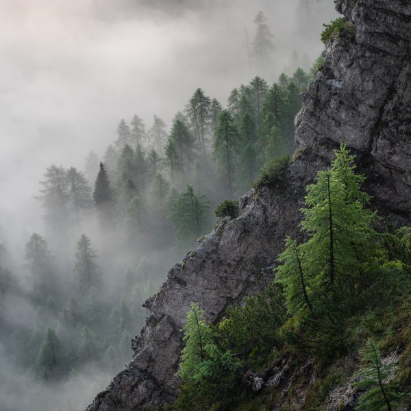 Misty Slopes of Slemenova Špica